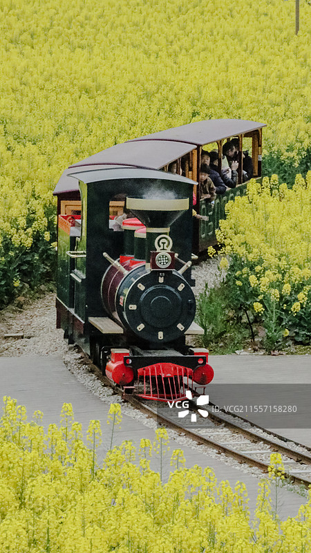 四川中江挂面村·油菜花小火车图片素材