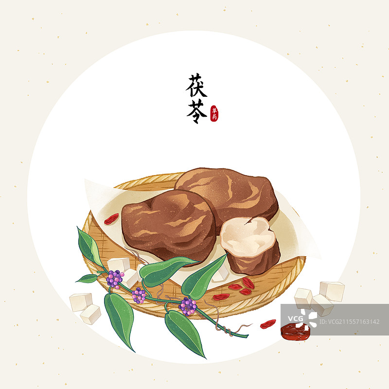 中国传统文化中医养生中草药药材医疗用品之茯苓图片素材