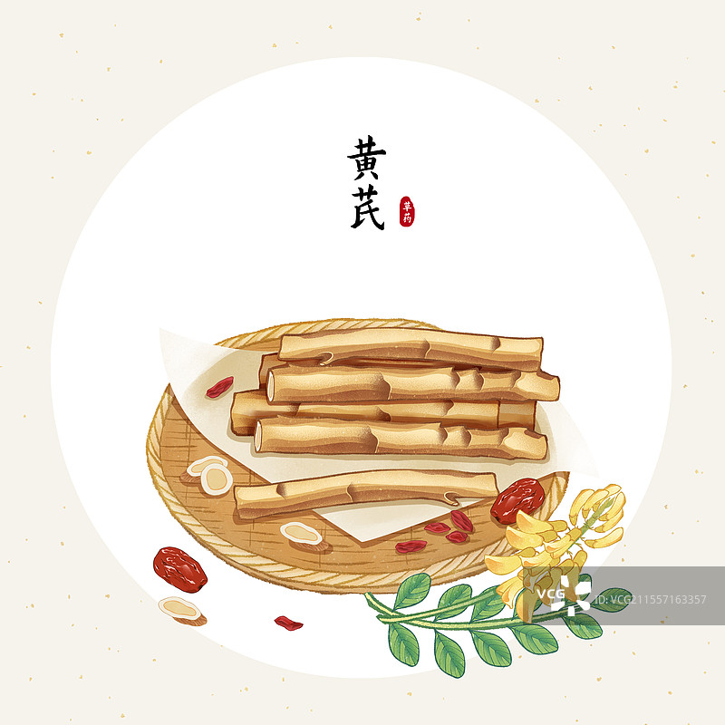 中国传统文化中医养生中草药药材医疗用品之黄芪图片素材