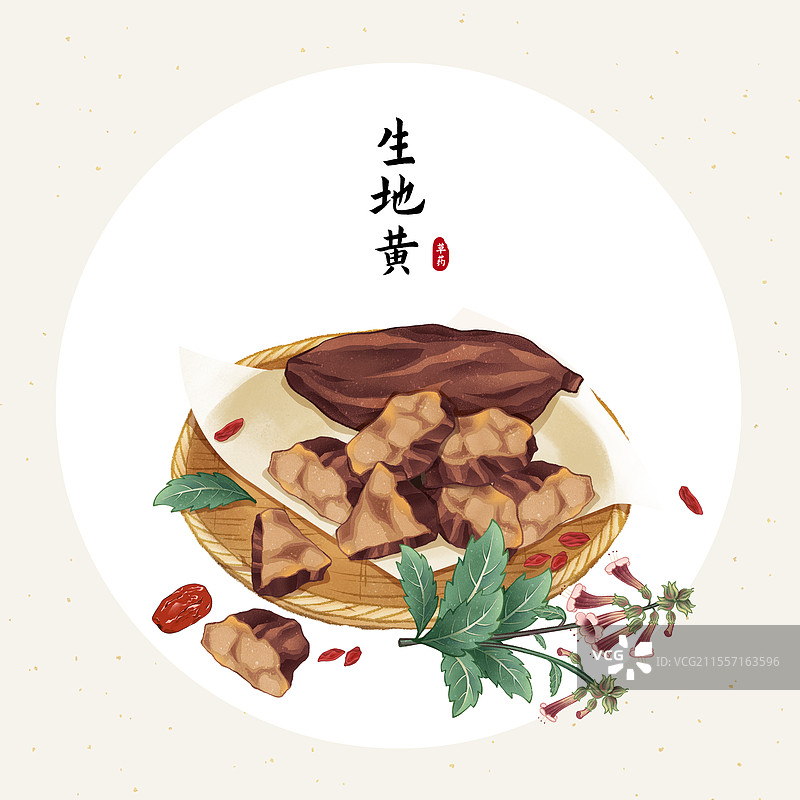 中国传统文化中医养生中草药药材医疗用品之生地黄图片素材