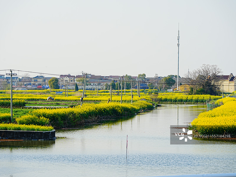 赏高淳国际慢城油菜花，享受愉快周末图片素材