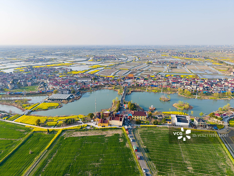 赏高淳国际慢城油菜花，享受愉快周末图片素材