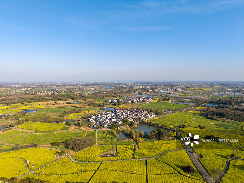 赏高淳国际慢城油菜花，享受愉快周末图片素材