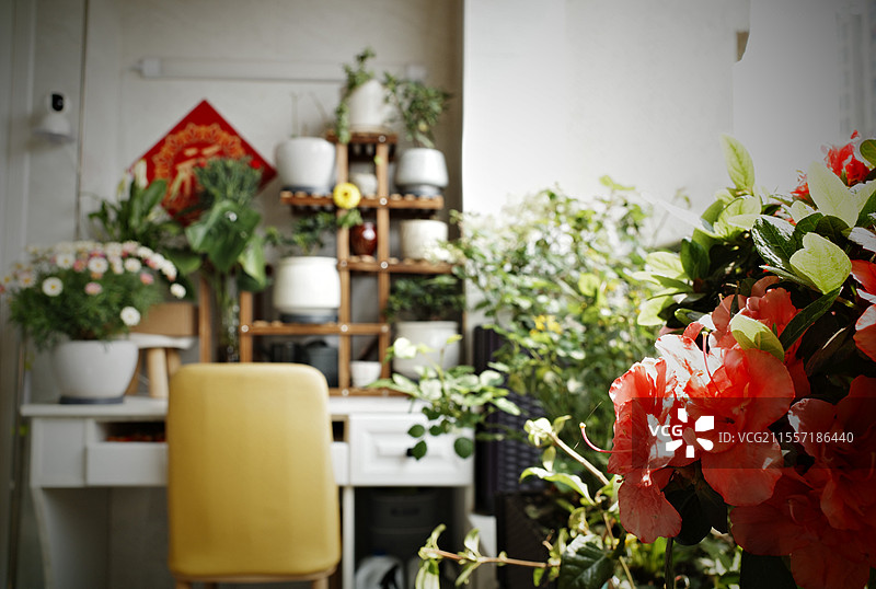 居家，春暖花开的小阳台图片素材