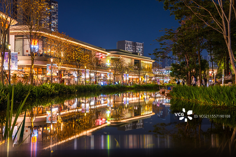 龙岗中心公园夜景图片素材
