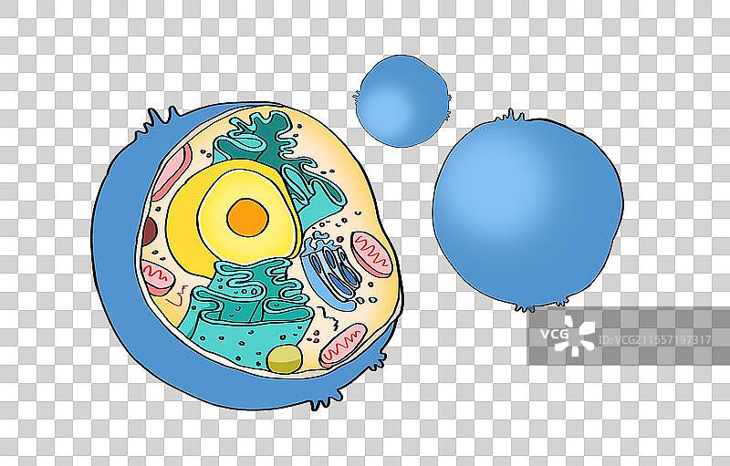 细胞结构卡通元素图片素材