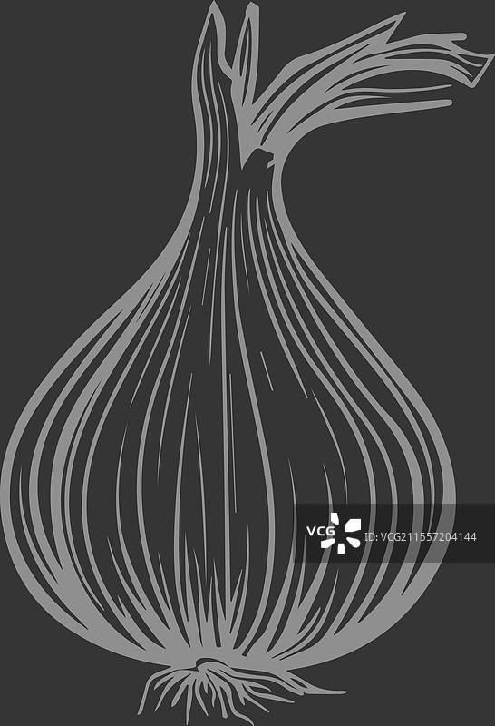 黑白色的葱、洋葱和大蒜球图片素材