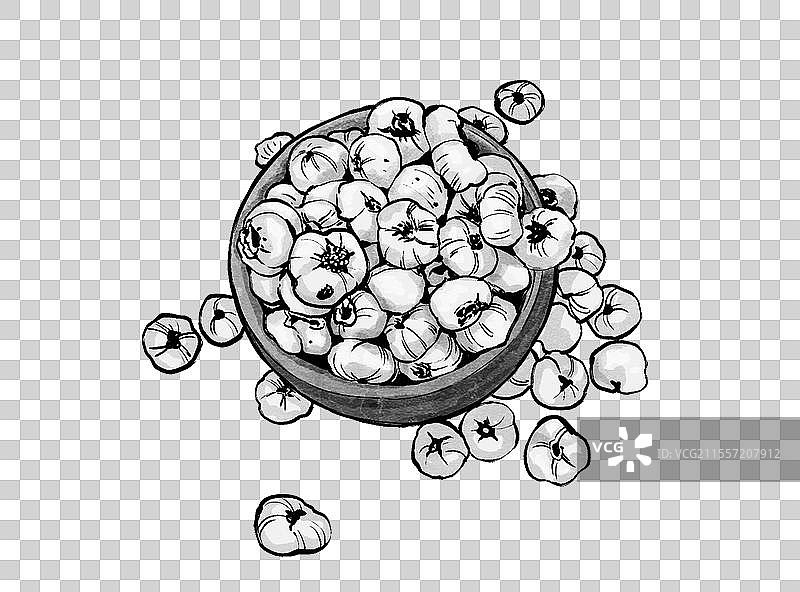 中药贝母图片素材