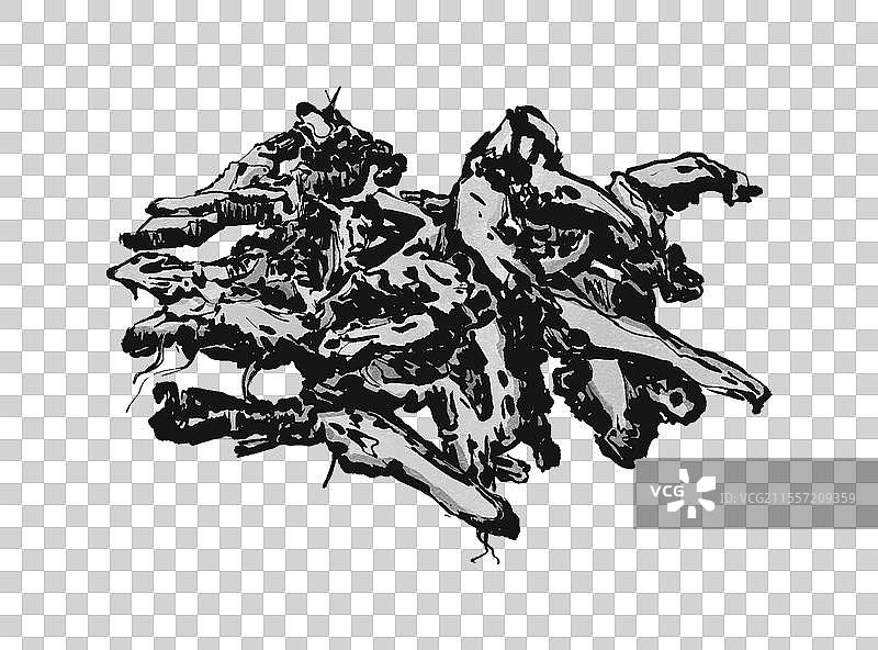 中药黄连图片素材