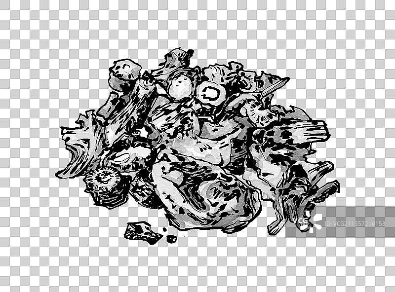 中药羌活图片素材