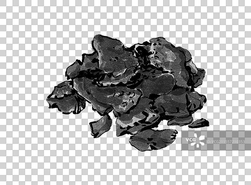 中药熟地黄图片素材