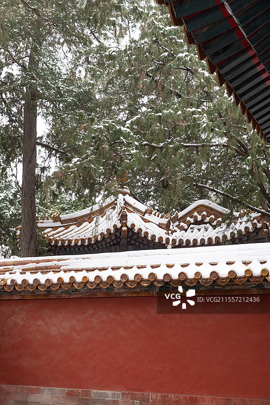 故宫钦安殿雪景图片素材