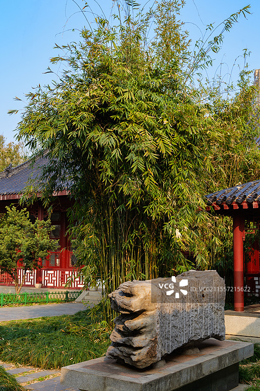 中式园林古建筑绿色竹林图片素材