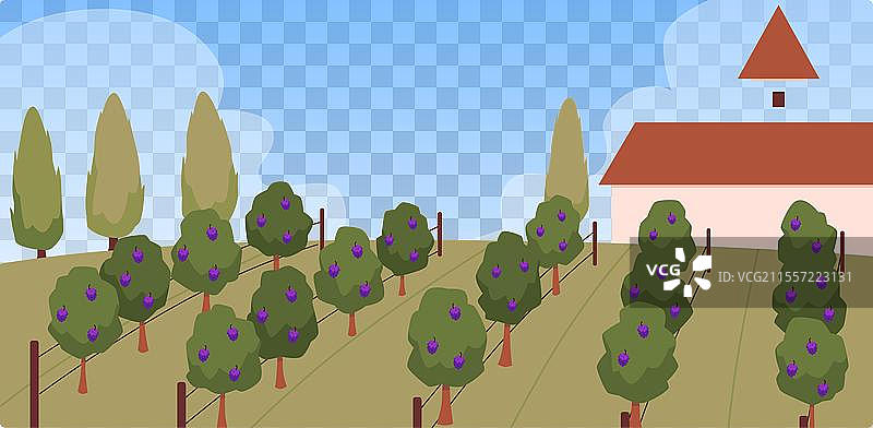 葡萄园庄园与别墅图片素材