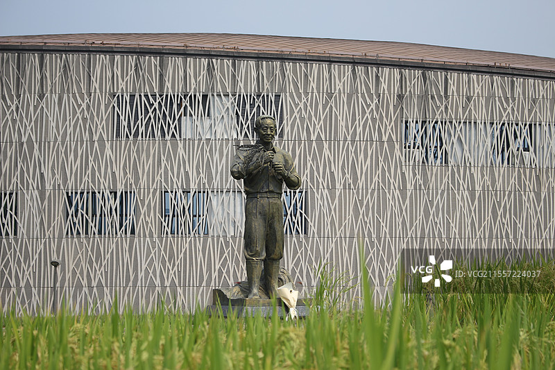 隆平水稻博物馆图片素材