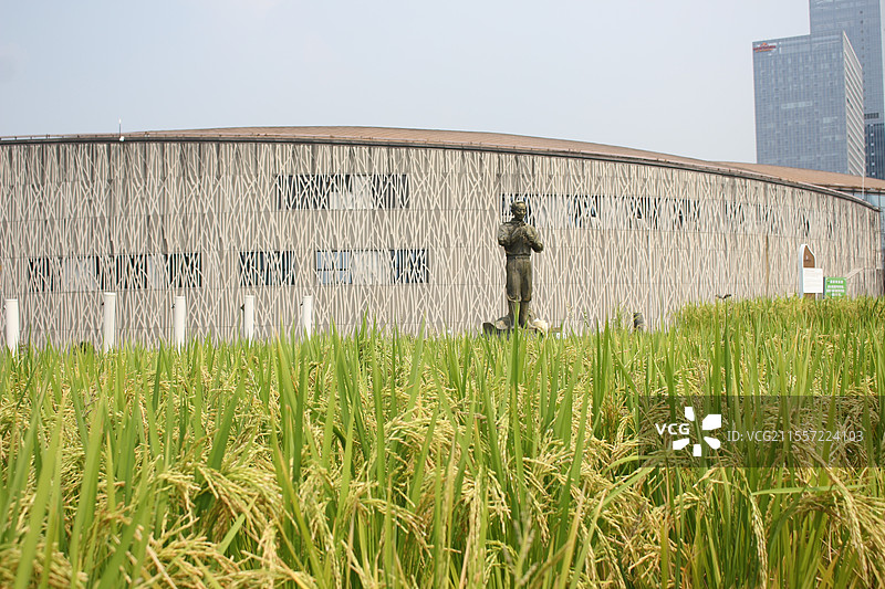 隆平水稻博物馆图片素材