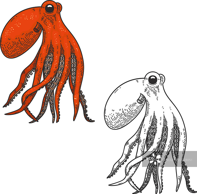 雕刻风格的章鱼设计元素图片素材