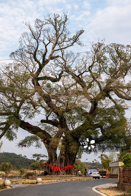 龙舟之乡韶关武江区重阳镇水口村图片素材