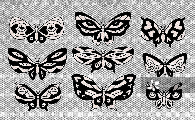 第七组黑白蝴蝶图片素材