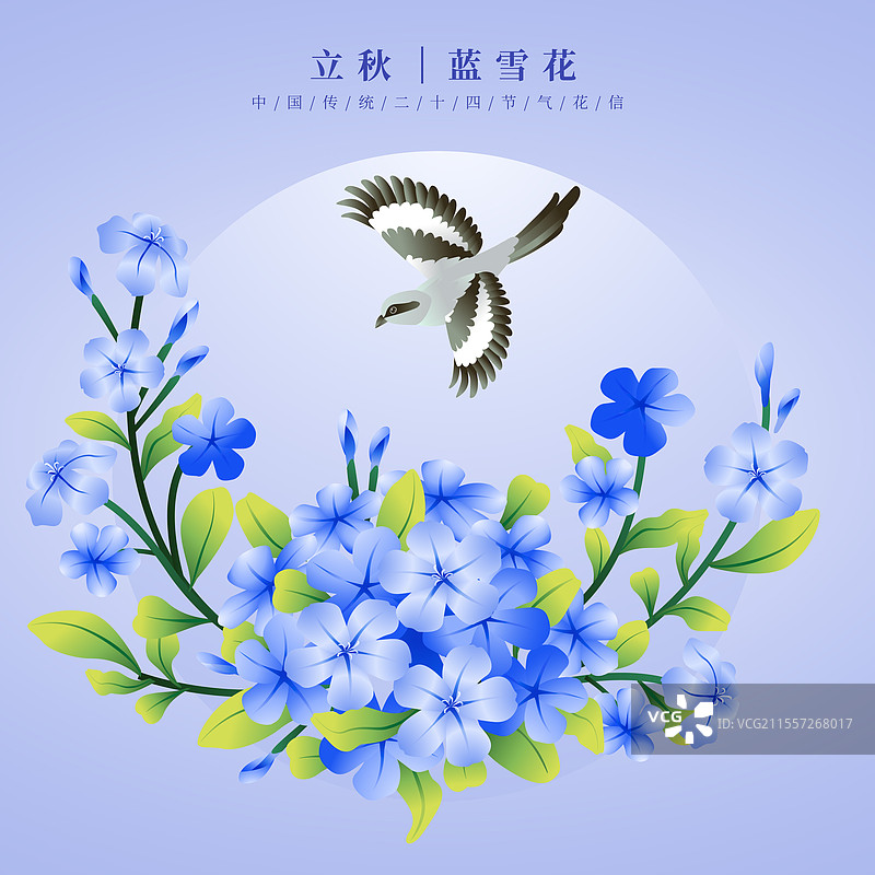 蓝雪花 插画海报图片素材