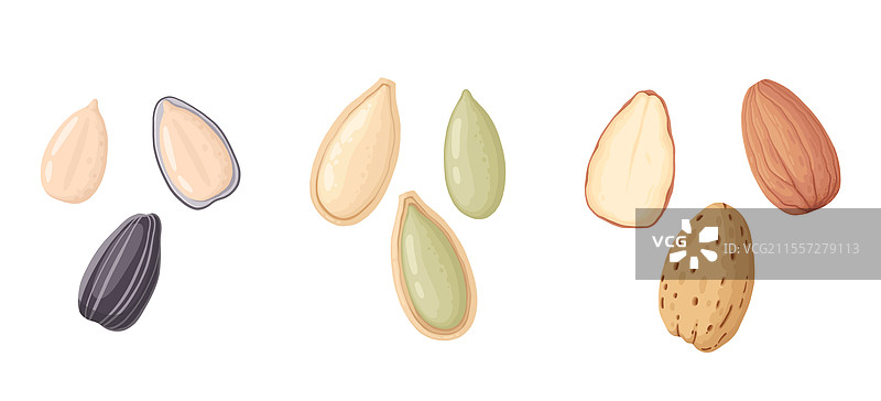 卡通有机生向日葵种子图片素材