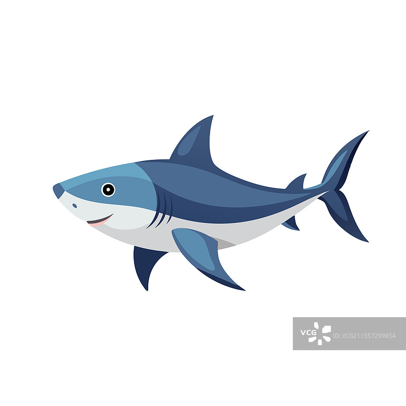 孤立的平面下的公牛鲨鱼水下动物图片素材