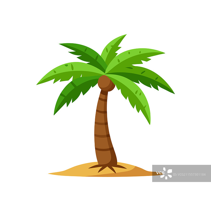 孤立的椰子树，平铺在白色背景上图片素材