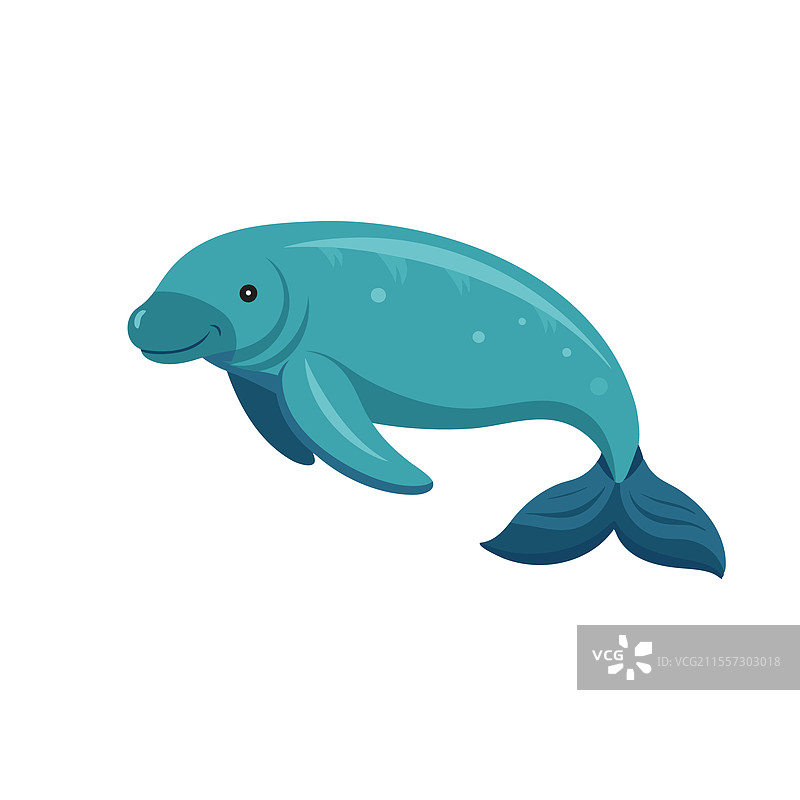 白色背景下孤立的海牛水下动物图片素材