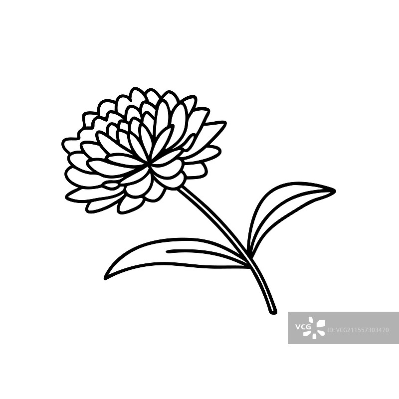 永恒花卉手绘线条艺术平面图图片素材