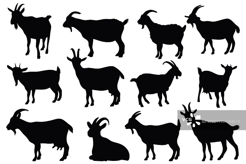 山羊剪影集，独立于白色背景图片素材