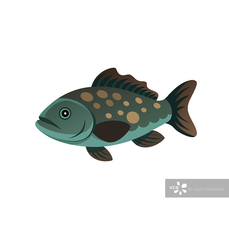 孤独的巨型石斑鱼在水下游动图片素材