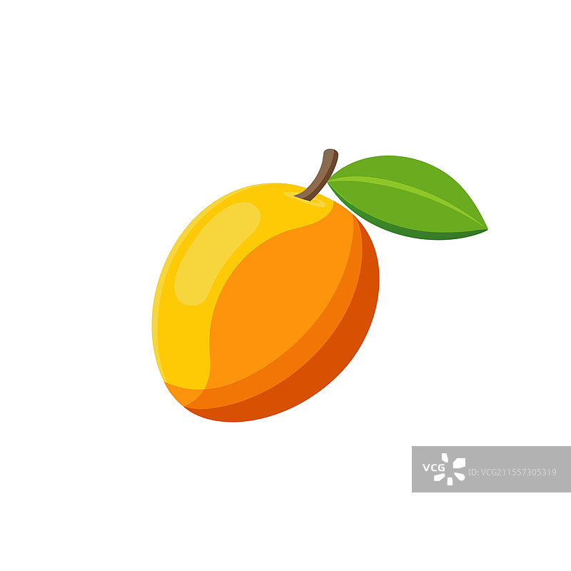 新鲜芒果孤立在白色背景上图片素材