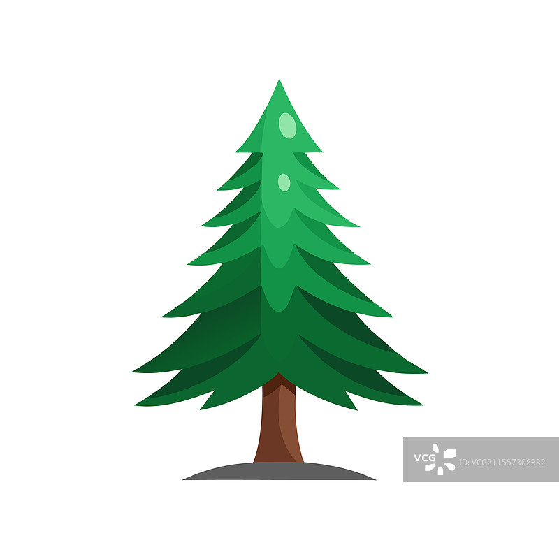 孤立的松树，平放在白色背景上图片素材