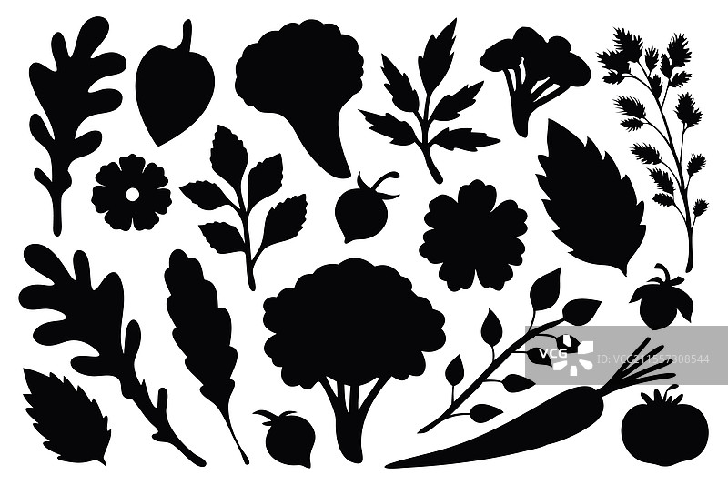 自然草本生态生物有机素食生态图片素材