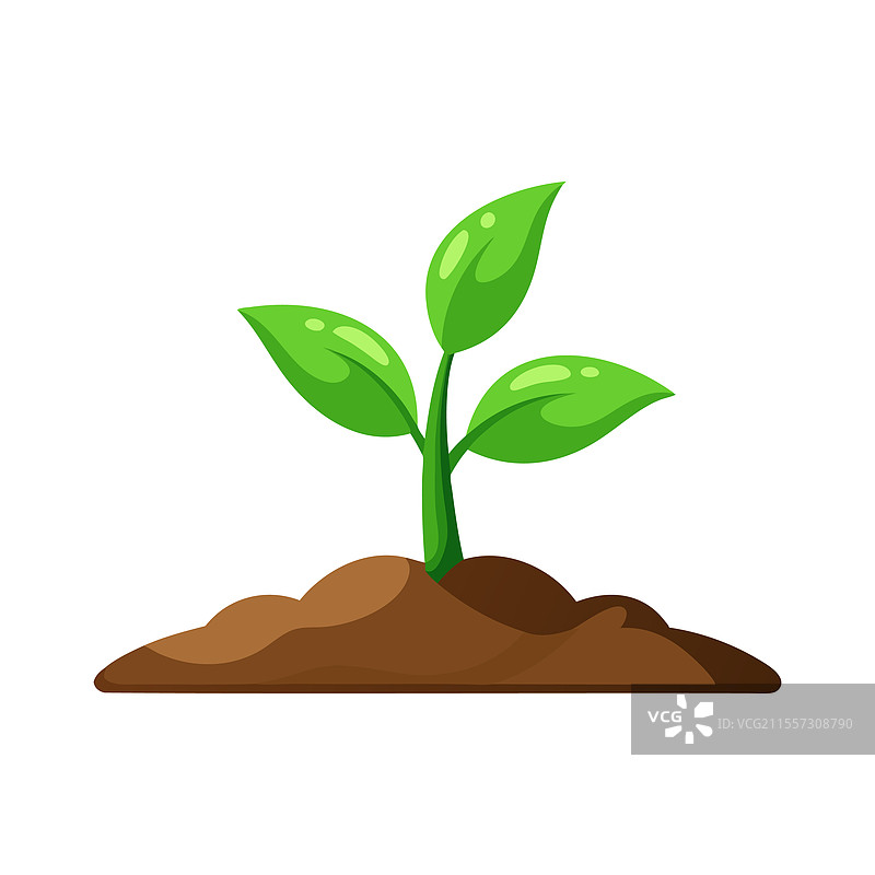 植物从土壤中冒出，白色背景下的孤立图像图片素材