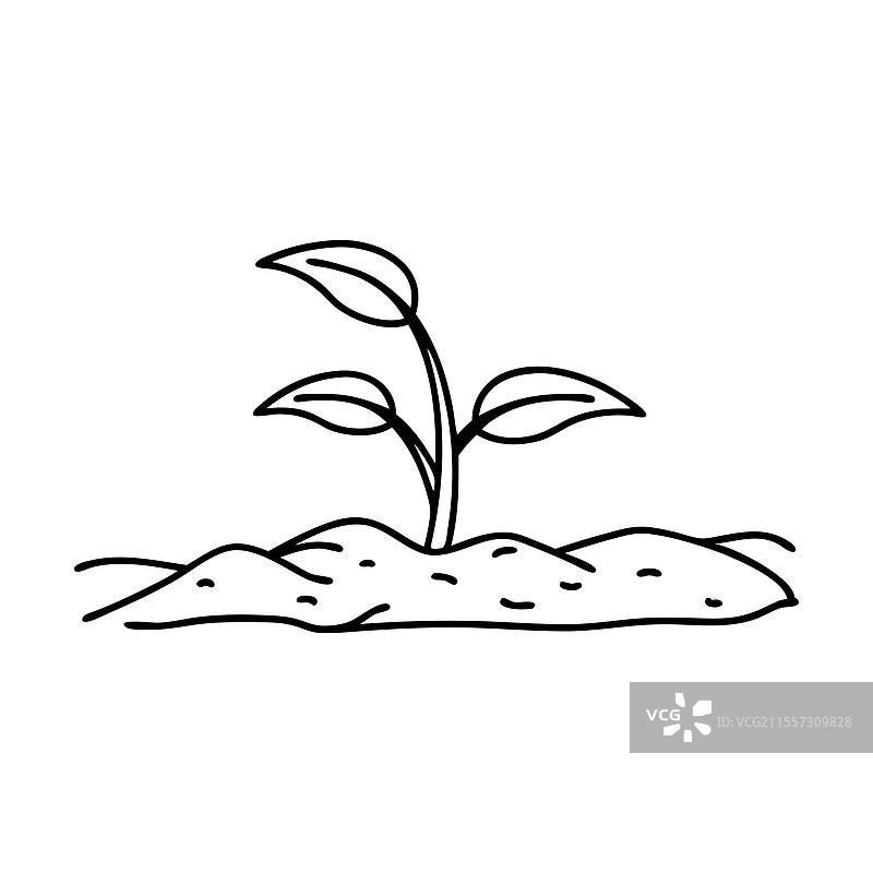 手绘线条的小芽从土壤中生长出来图片素材