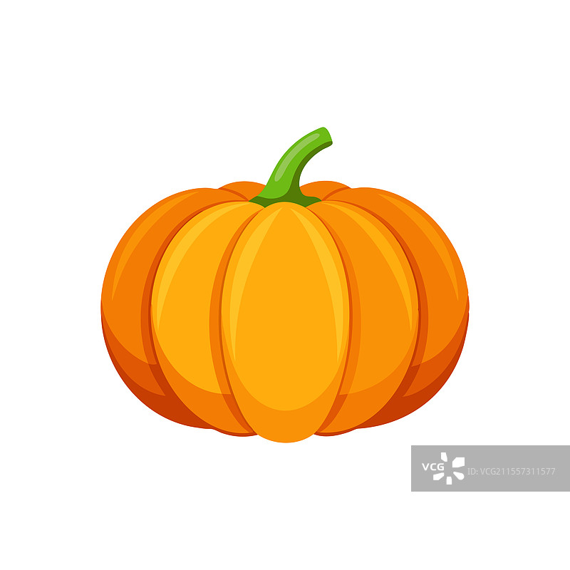 鲜艳的橙色南瓜孤立在白色背景上图片素材