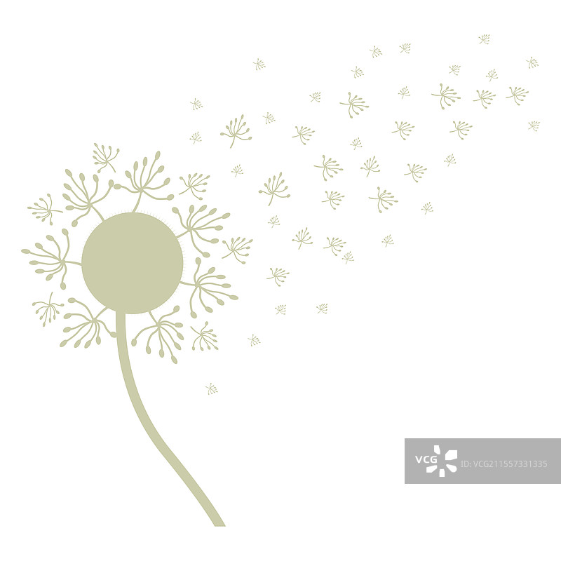 蒲公英花朵植物图标图片素材