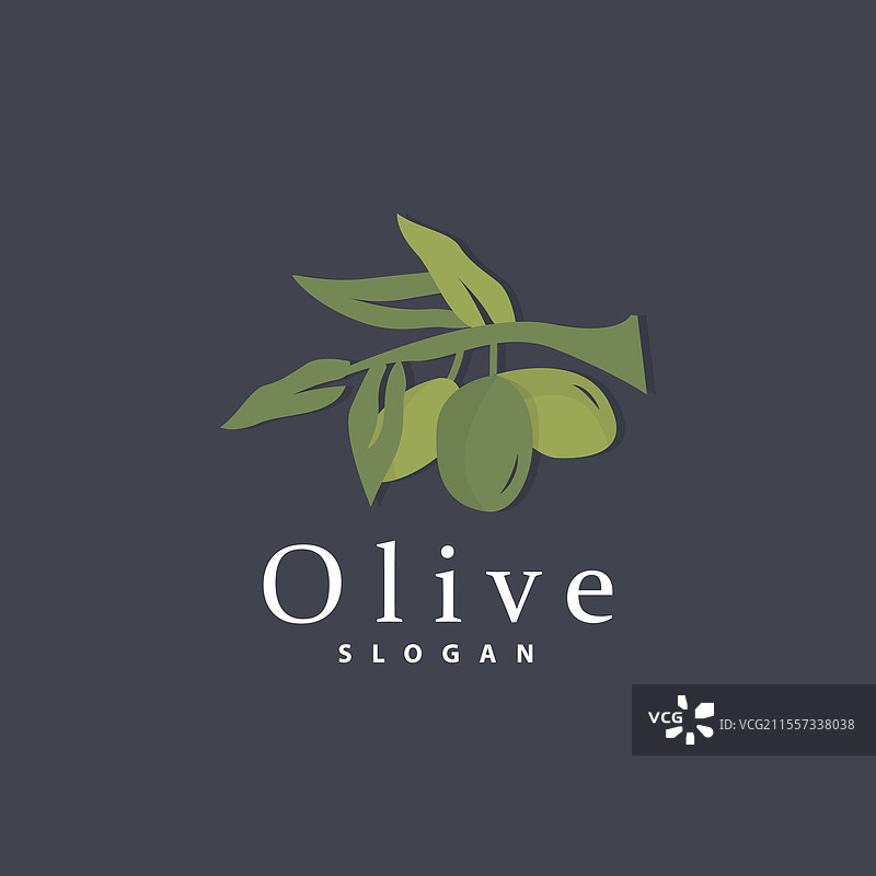 橄榄油标志 橄榄叶植物 草本花园图片素材