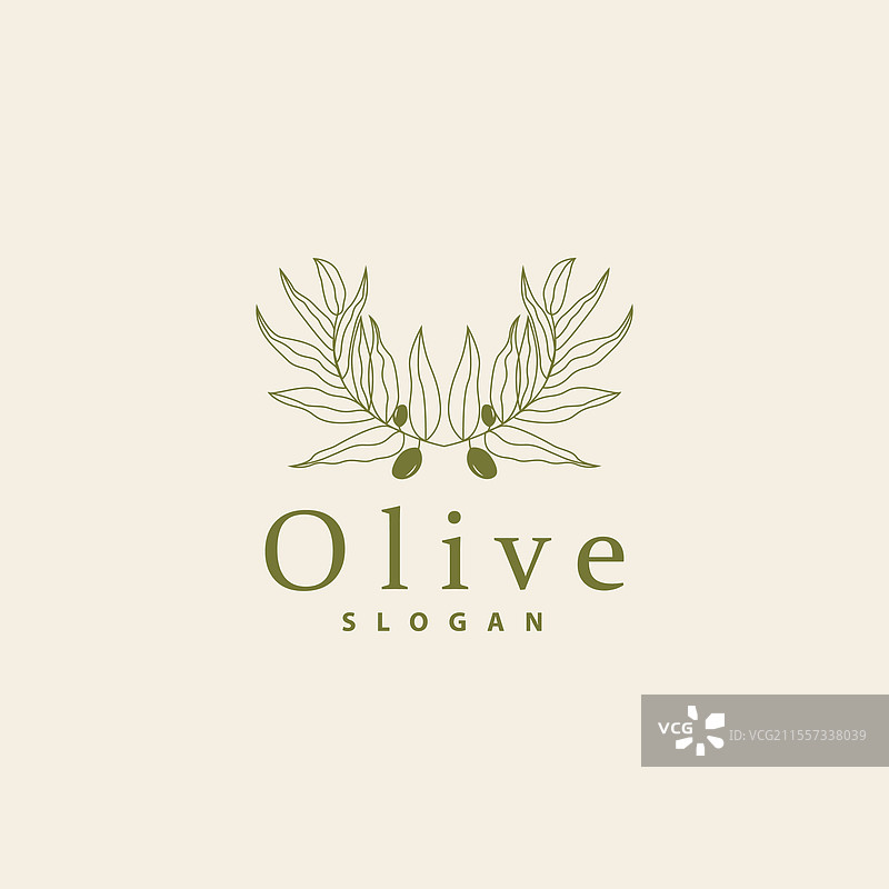 橄榄油标志 橄榄叶植物 草本花园图片素材