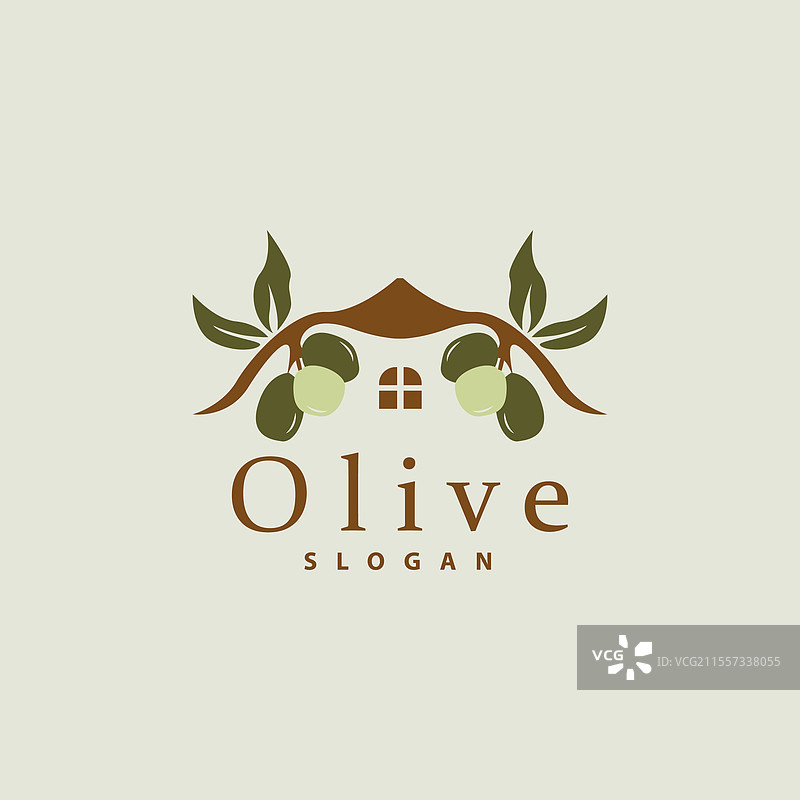 橄榄油标志 橄榄叶植物 草本花园图片素材
