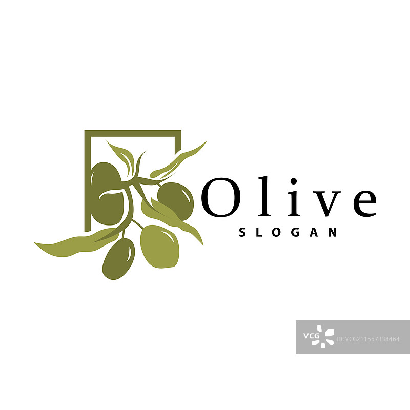 橄榄油标志 橄榄叶植物 草本花园图片素材