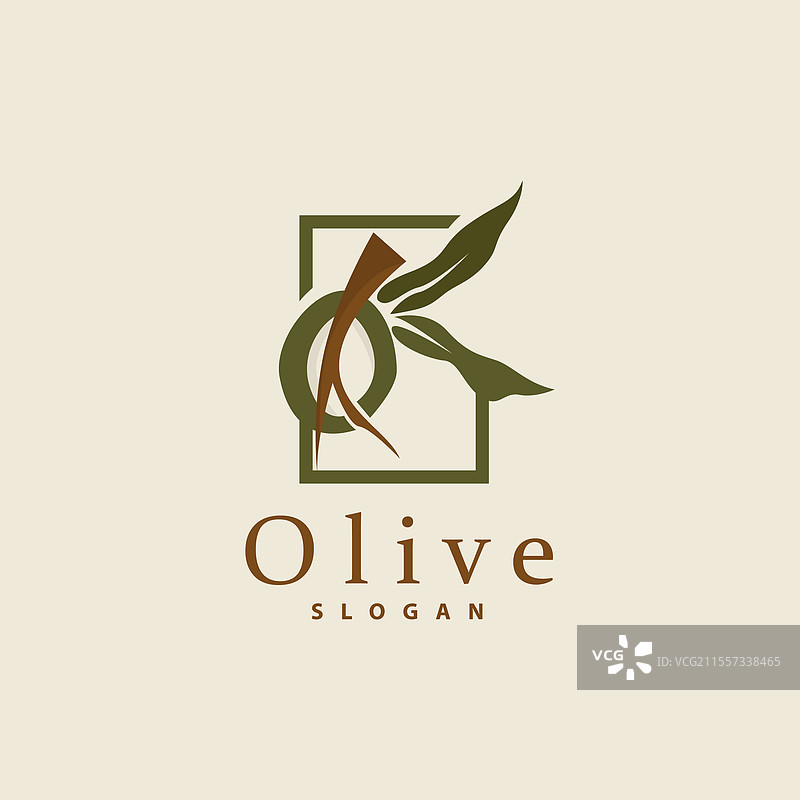 橄榄油标志 橄榄叶植物 草本花园图片素材