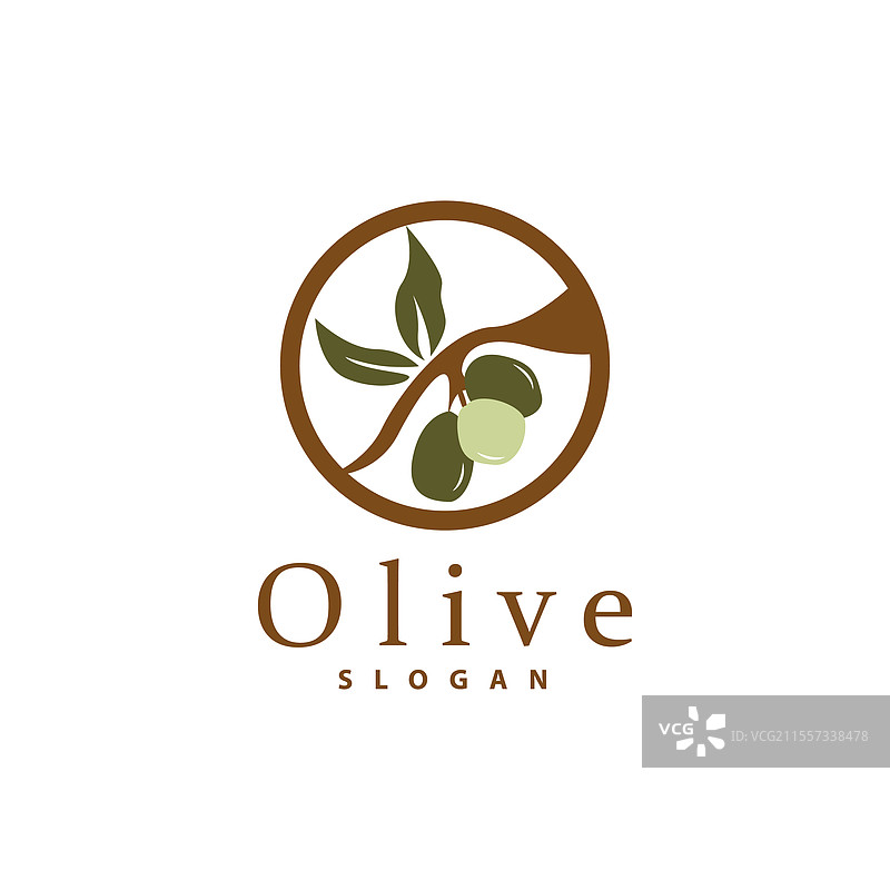 橄榄油标志 橄榄叶植物 草本花园图片素材