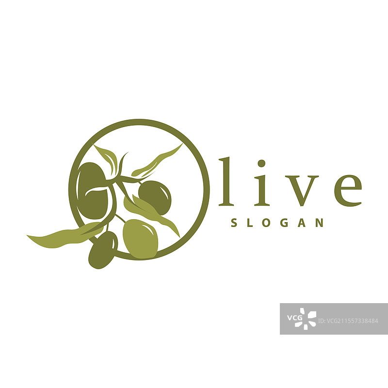 橄榄油标志 橄榄叶植物 草本花园图片素材