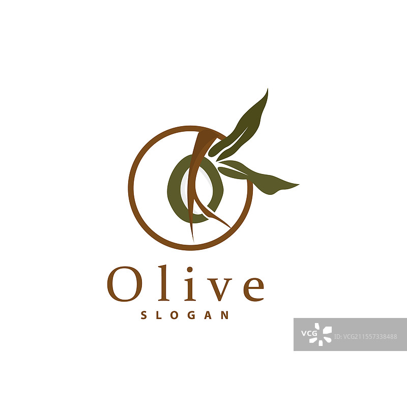 橄榄油标志 橄榄叶植物 草本花园图片素材
