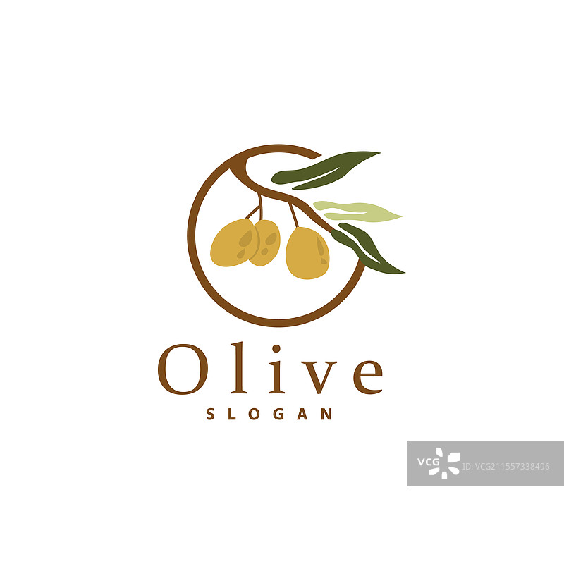 橄榄油标志 橄榄叶植物 草本花园图片素材