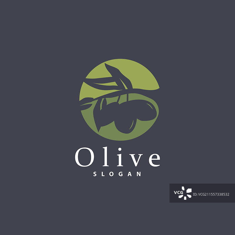 橄榄油标志 橄榄叶植物 草本花园图片素材