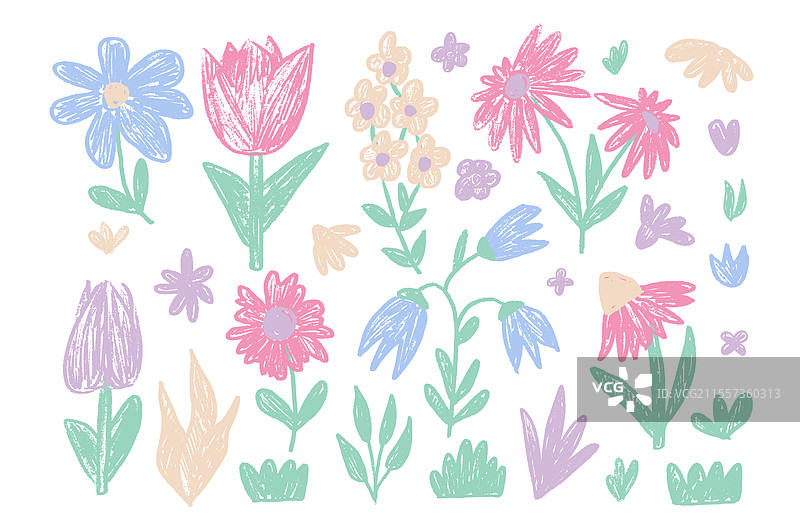 蜡笔画的春天郁金香与花叶图片素材