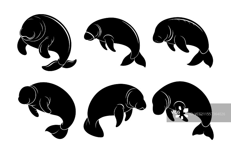 海牛剪影集图片素材